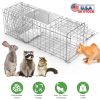 31x12x11â€ Heavy Duty Folding Live Animal Trap Cage Humane Easy To Catch And Release Trap For Stray Cats Raccoons Squirrel Skunk Groundhog Armadillo