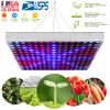 LED Grow Light Full Spectrum Hanging 225 LEDs Plant Grow Lamp Indoor Grow Light for Greenhouse Succulents Seedlings Plants Veg and Flowerï¼ˆ15W LEDsï¼