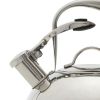 Modern Industrial Stainless Steel 2-qt. Mirrored Tea Kettle