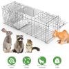 31x12x11â€ Heavy Duty Folding Live Animal Trap Cage Humane Easy To Catch And Release Trap For Stray Cats Raccoons Squirrel Skunk Groundhog Armadillo