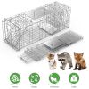 31x12x11â€ Heavy Duty Folding Live Animal Trap Cage Humane Easy To Catch And Release Trap For Stray Cats Raccoons Squirrel Skunk Groundhog Armadillo