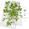 A-Frame Garden Trellis for Climbing Plant with Ground Stake and Cable Tie