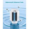 Mineralization Filter Replacement – Remineralization Alkaline Water Filter for Reverse Osmosis System, Balances pH & Restores Minerals