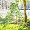 A-Frame Garden Trellis for Climbing Plant with Ground Stake and Cable Tie